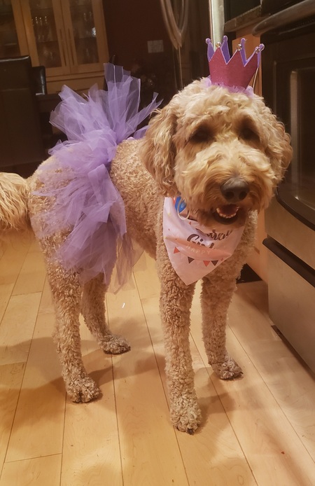 Nala Grace