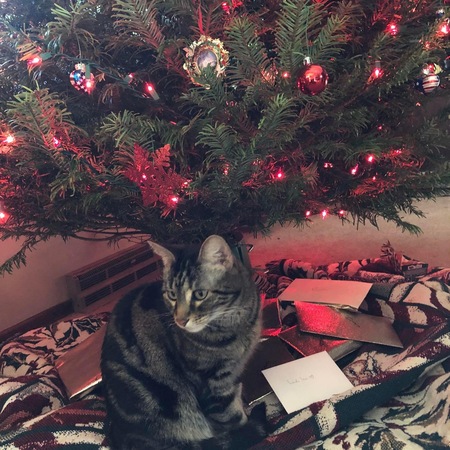 Benji