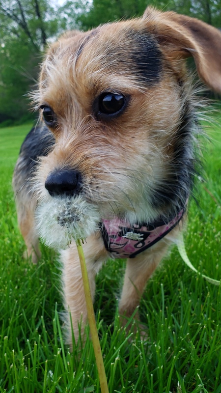 Lucy