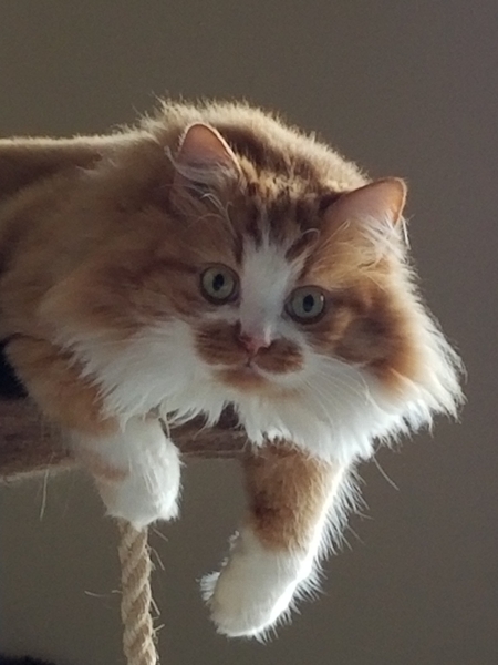 Bill