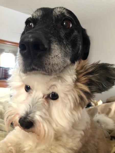 Gracie and Winnie