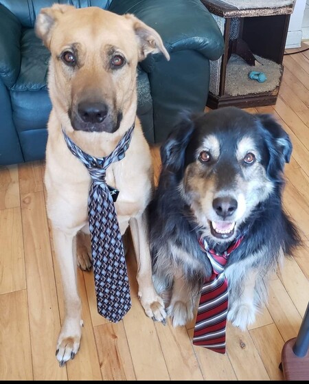 Jack & Romeo