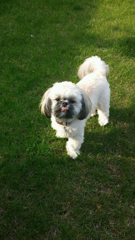 Howie