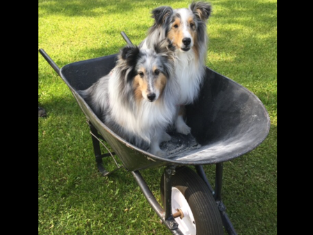 Luna/Lacie