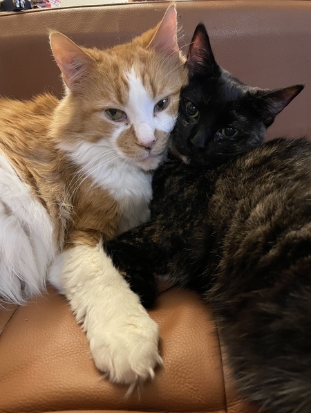 Carl and Baby Dill