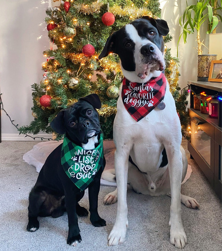 Gus and Oliver 
