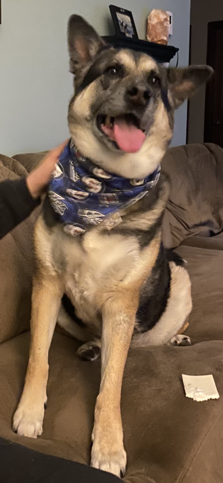 Lucy
