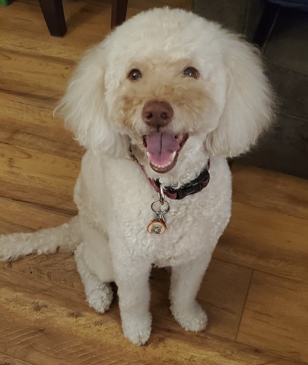 Bailey