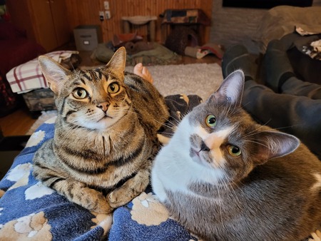 Benoit & Shayla