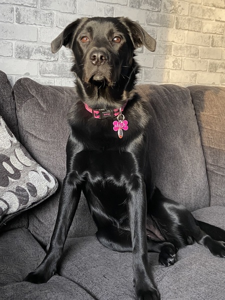 Millie 