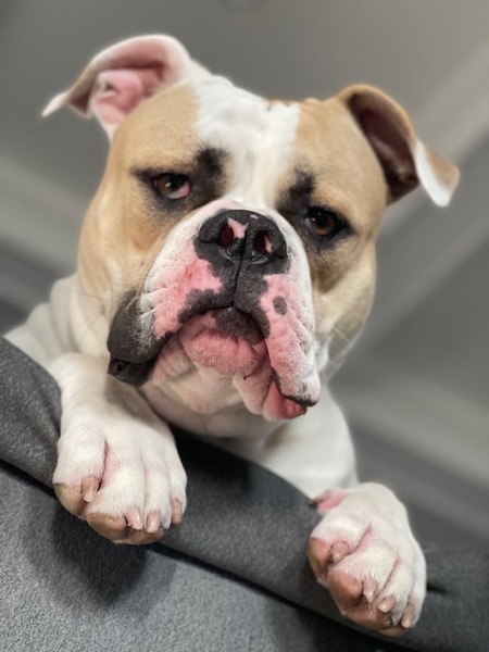 REUBEN