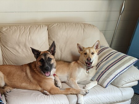 Trixy  & Macy