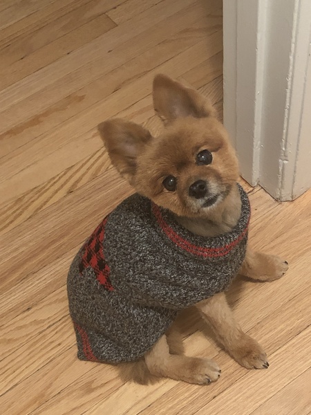 Roxy