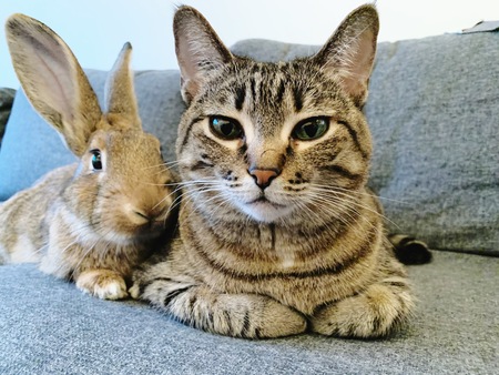 Joey & Ellie