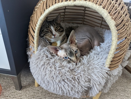Athena & Calypso
