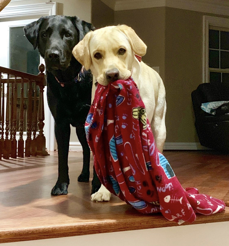 Jake and Elwood