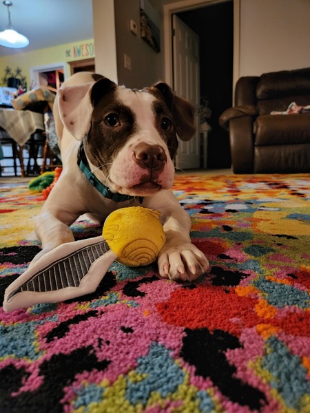 Mabel