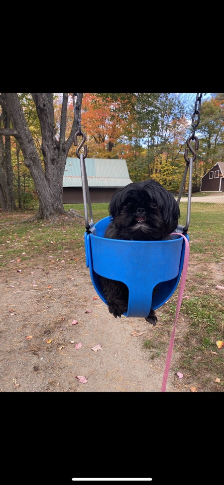 Ella