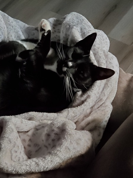 Zoe