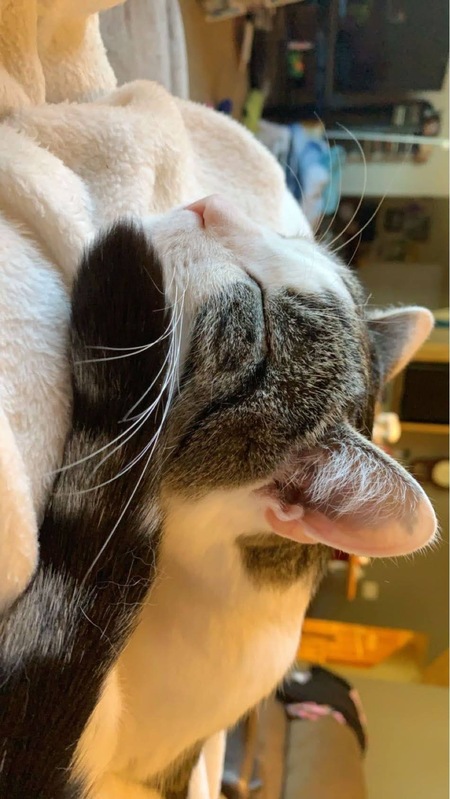 Tigger