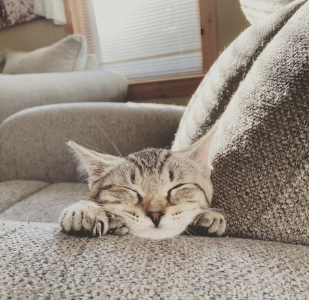 Stormi 