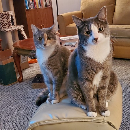 Willow and Grayson