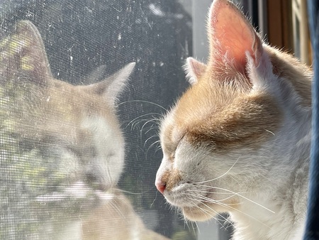 Smudge