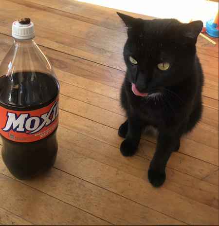 Moxie