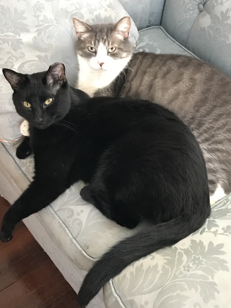 Hamlet and Rutherford 