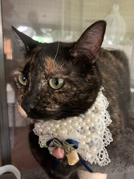 Miss Betty