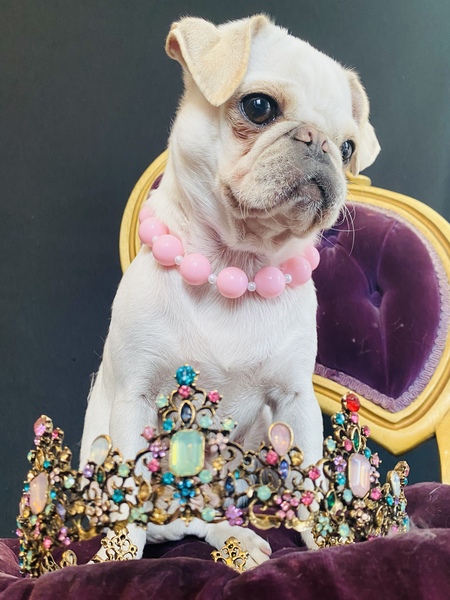 Fiona, Queen of All She Sees