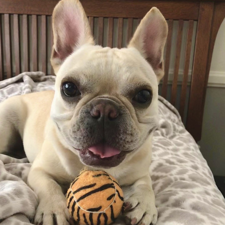 Bubba