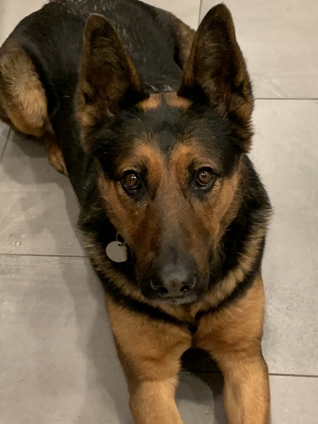 Maggie
