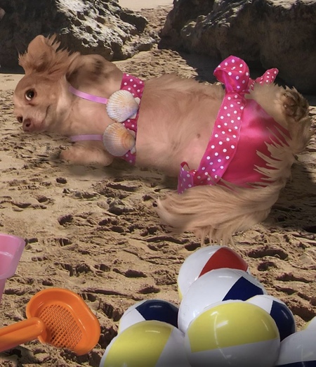 Laverne 