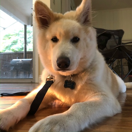 Baxter