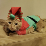 Entry image for Avicii