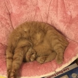 Entry image for Avicii