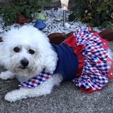 Entry image for Edie