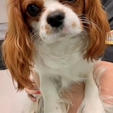 Entry image for Rafa Jr.