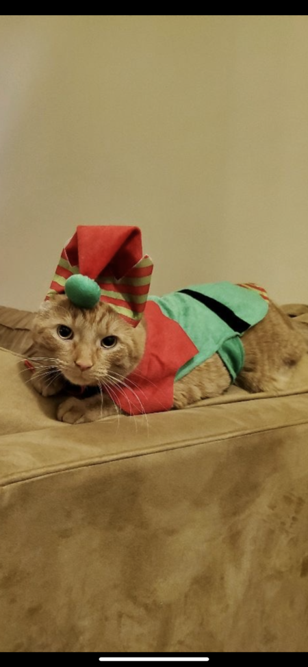 Entry image for Avicii. Clicking this image will show a larger photo