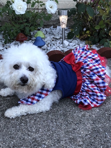 Entry image for Edie. Clicking this image will show a larger photo