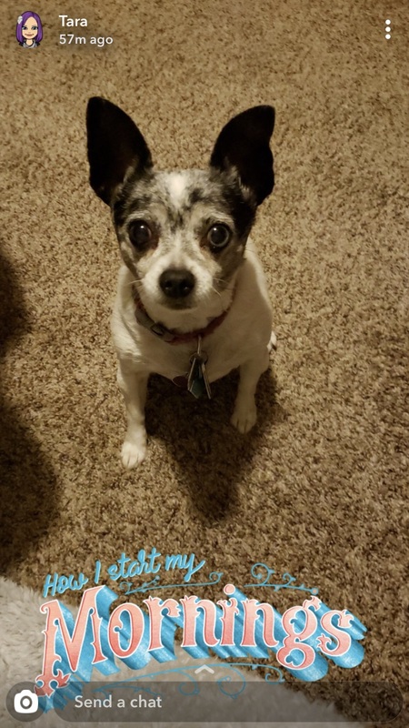 Entry image for Nellie. Clicking this image will show a larger photo