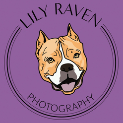 https://www.lilyravenphotography.com/