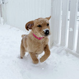 Entry image for Betty