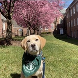 Entry image for Jake