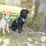Entry image for Nessie and Faelyn 