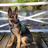 Entry image for Fred