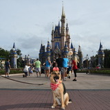 Entry image for Kristy