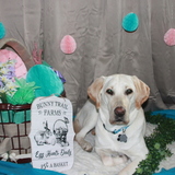 Entry image for Falla