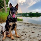 Entry image for Nyla